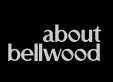 About The Bellwood Group