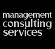 Management Consulting Services